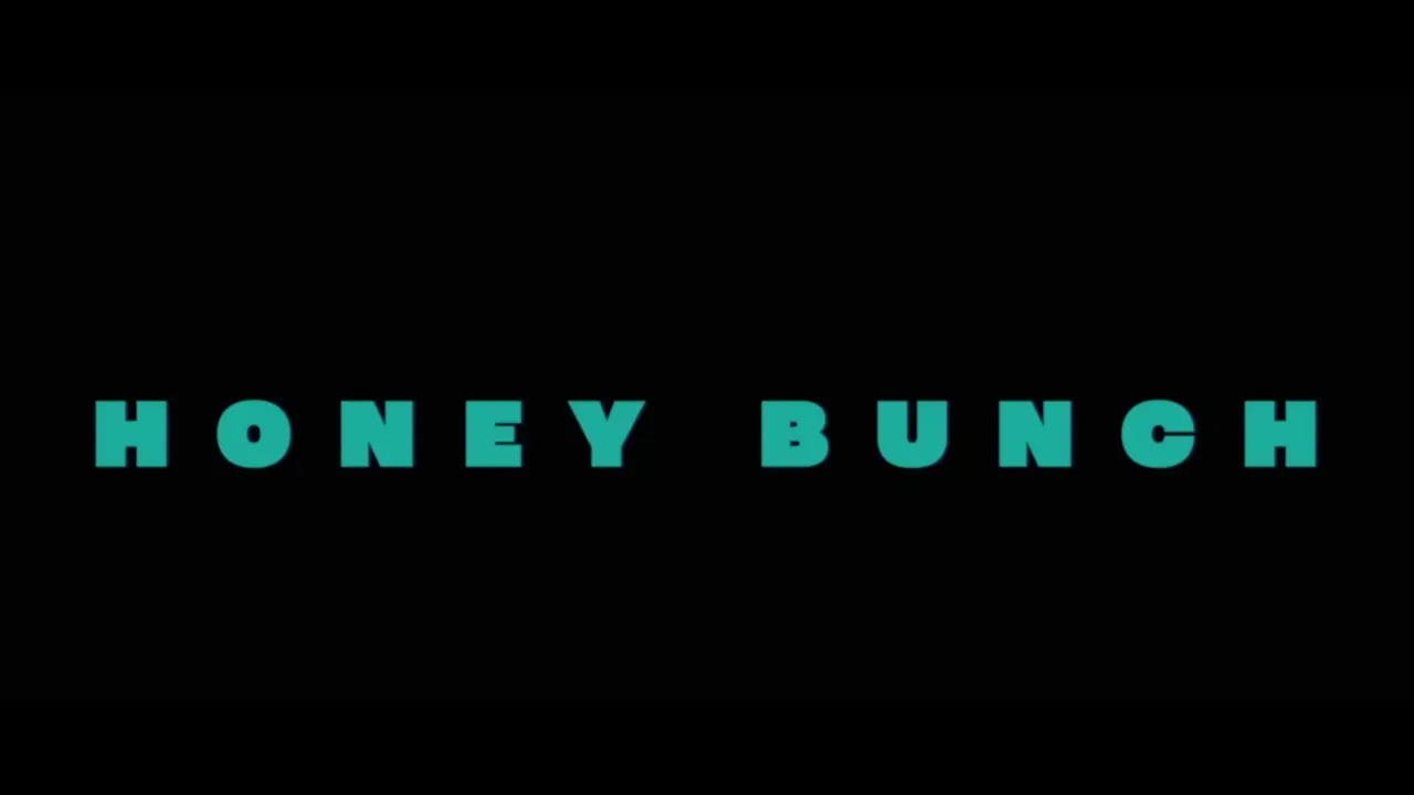 Accused the karen read story honey bunch